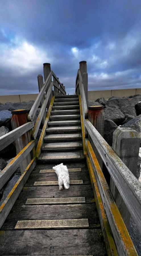 Camber Sands Seascape Horizon Decked Villa Dog Friendly 外观 照片